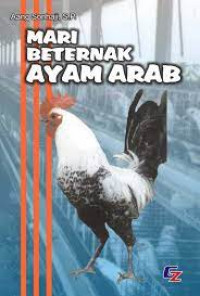 Image of Mari beternak ayam arab
