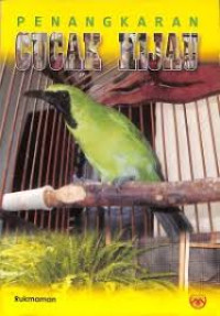 Image of Penangkaran  cucak hijau