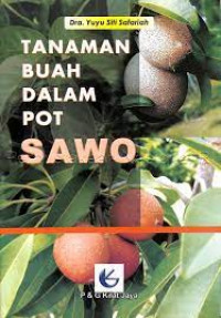 Image of Tanaman buah dalam pot : sawo